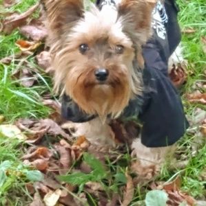 Meet your Posher, Matthews